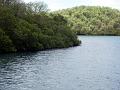 2003-04 martinique 117